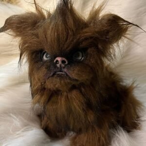 griffon bruxellois puppy for adoption