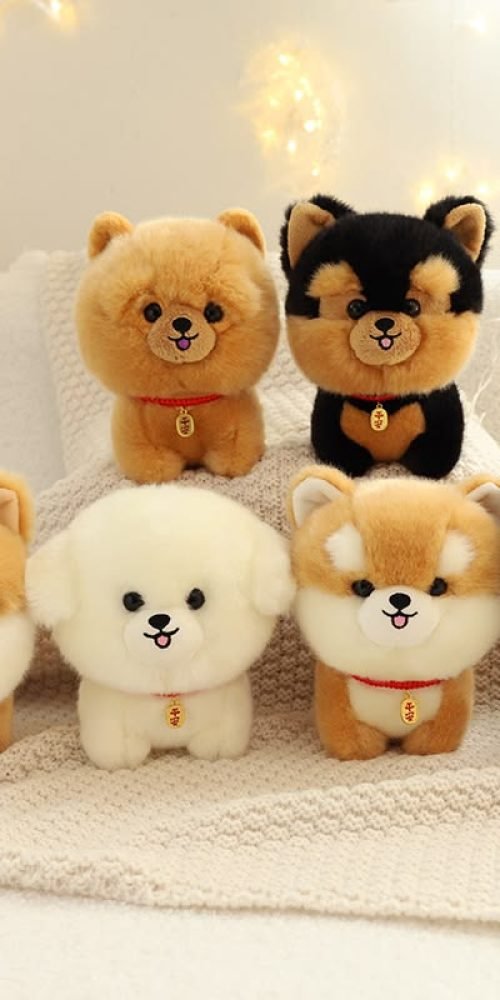 buy Maltese Puppies